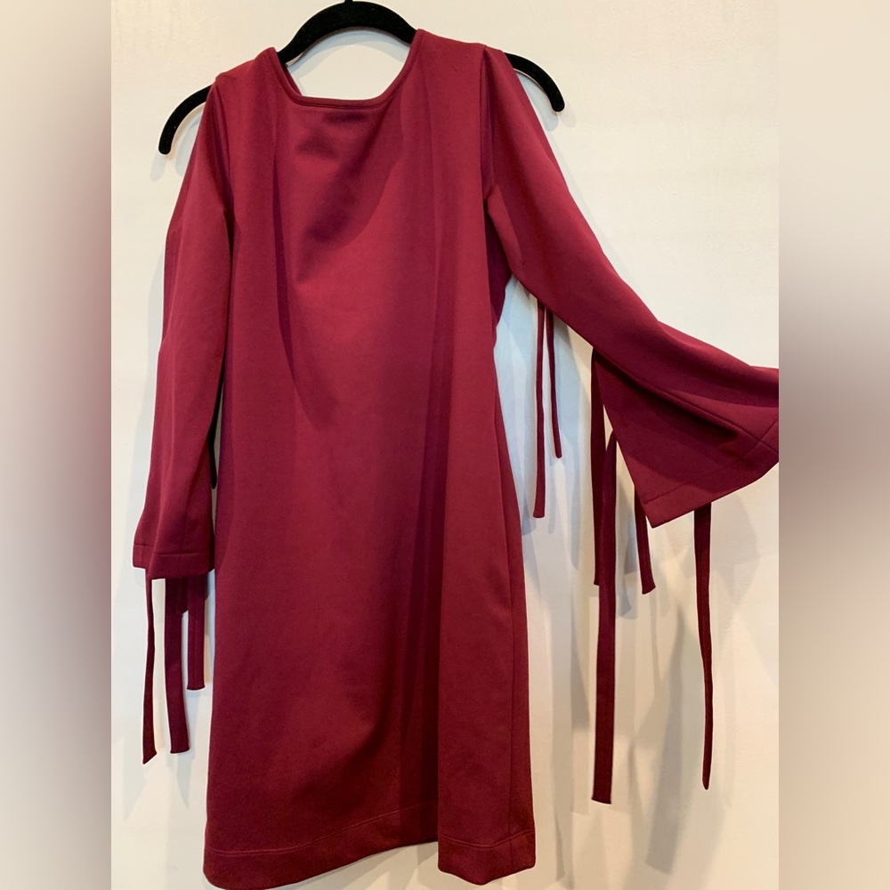 Burgundy Long Sleeve Dress